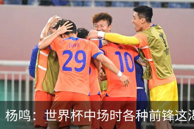 杨鸣：世界杯中场时各种前锋这渴了那饿了全来了 谁能记住后卫呢